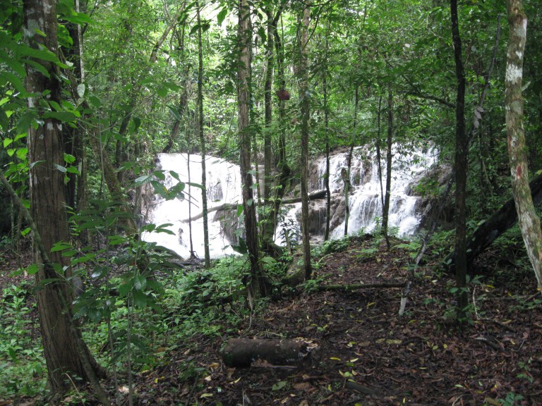 slideshow image